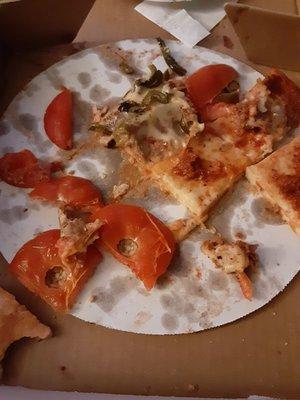 Pizza with fresh tomatoes