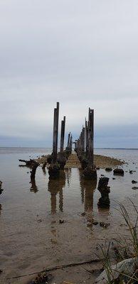 St Marks National Wildlife Refuge