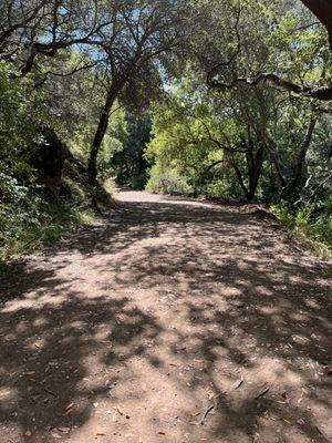 McDonell trail, fire road