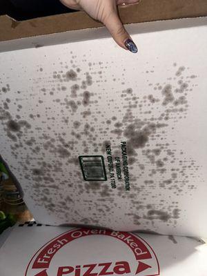 Grease soaked box