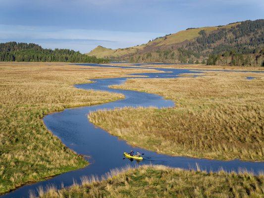 Cascade Head Scenic Research Area