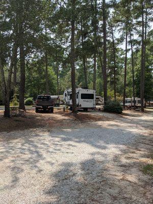 This is our site. Plenty of room; picnic table; fire ring.