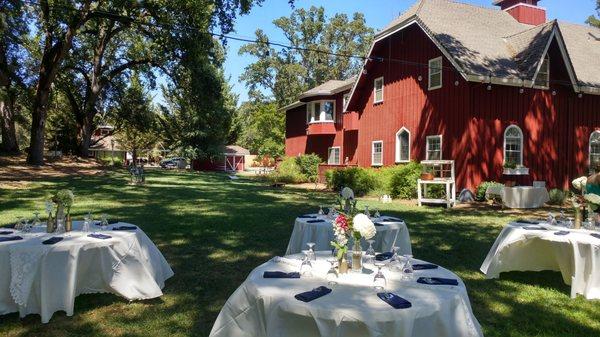 Reception set up under the oaks, next to the barn guesthouse.