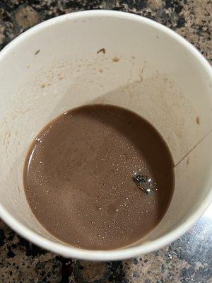 Roach in hot chocolate