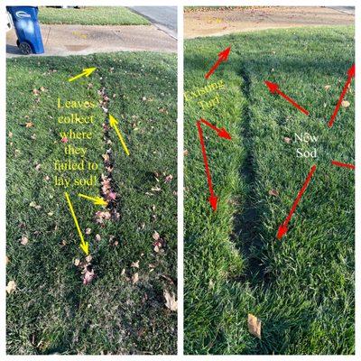 I was told by Ron S. his guys were bringing a sod cutter to remove existing sod and lay new sod.