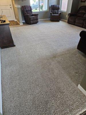 Beautifully cleaned carpet!