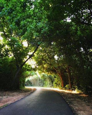 Oyster Creek Trail