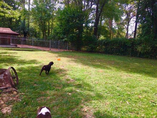 One of our spacious recess yards