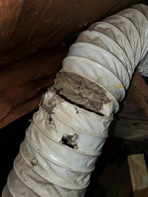 This is an example of poor bathroom ducting that can cause mold!