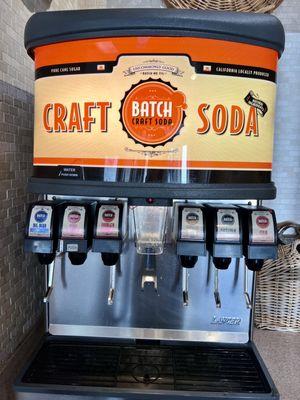 Craft soda machine