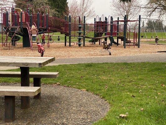 Picnic table, swings, ball field