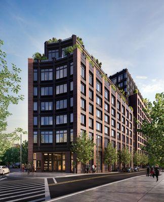 Studios - 2 Bedroom rental residences at the nexus of Fort Greene and Clinton Hill