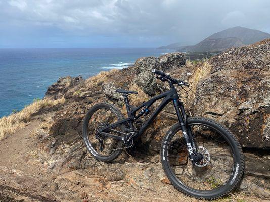 Hawaii's premier bike shop - now offering free tune ups within 60 days of purchase