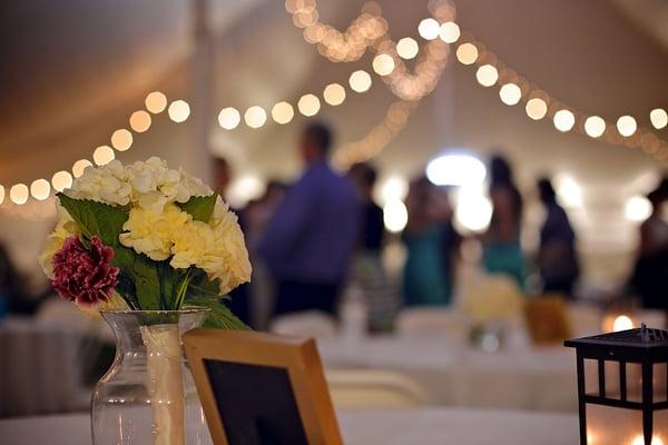 Tent Rentals, Chair Rentals, Linen Rentals, Table Rentals