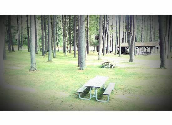 Picnic in Hyner Run.