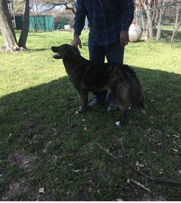 Meeting a dog in the yard at Fuzzy Friends