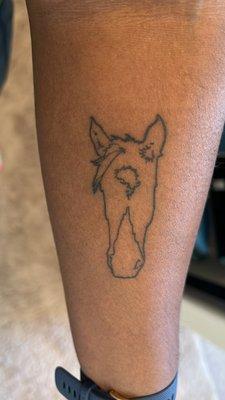 Outline of my horse's face done by Michael Medina.