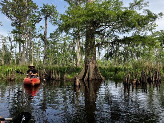 Our down to earth tour guide telling us about cypress knees and other stuff.