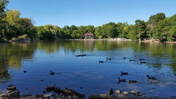 Webster Pond