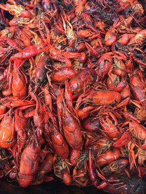 Boiled crawfish