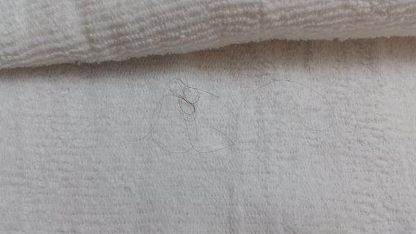 Hair on our "clean" folded towels.