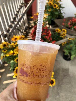 Apple cider slushie