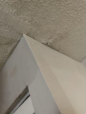 Leaking roof