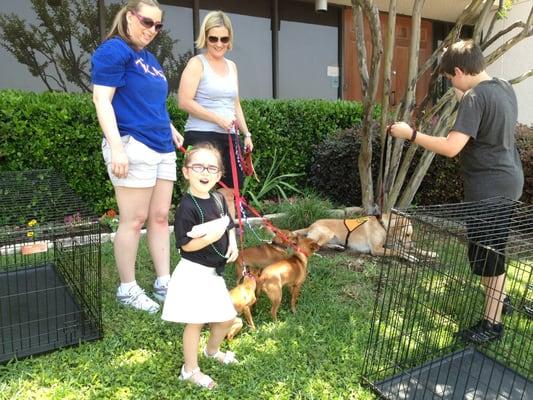 Bella with volunteers and their foster pets!