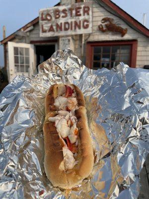 Hot, buttered lobster roll