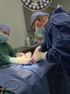 Dr. Shah and surgical assistant performing a splenectomy.