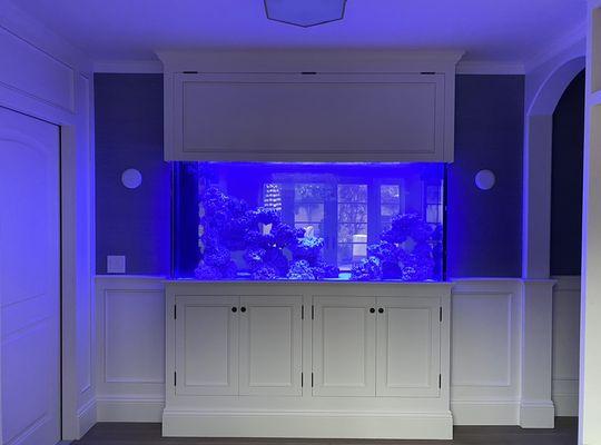 Custom Reef Aquarium