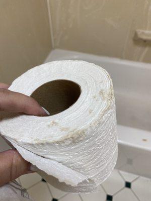 The "new" TP roll - crusty and dried from an unknown liquid.