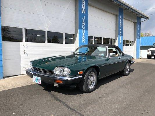 1991 Jaguar XJS V12 Convertible. We did major Head Gasket Work on this car. Very happy Customer!