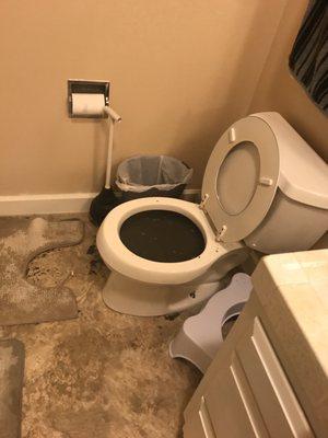 Clogged toilet. Sewage was backing up