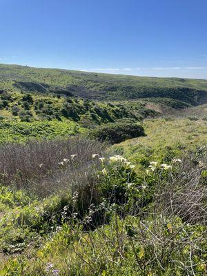 Tomales Bay Trail