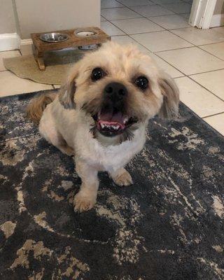 Usually hates grooms but look at this happy face!