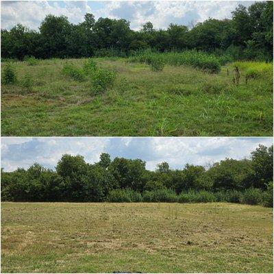 Reclaimed this church's  1/2 acre back lot from 3'-12' tall weeds, and made it usable for summer activities.