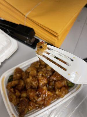 S18. General Tso's Chicken BUG IN MY FOOD