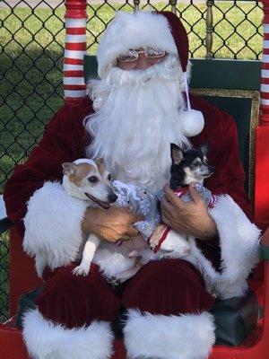 Sunny and Taco trying to explain themselves to Santa Paws.