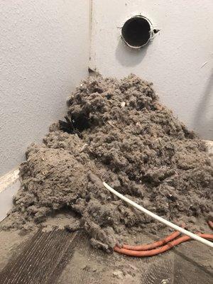 Dryer vent clogged