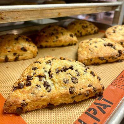 The Lunchbox's Fresh Baked Chocolate Chip Scones.