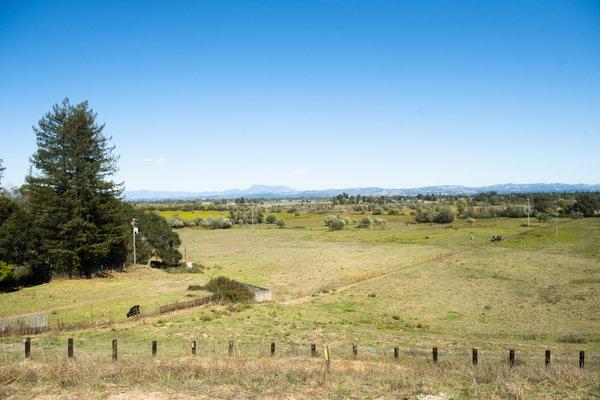 Views from the picnic area extends to Mount Saint Helena.