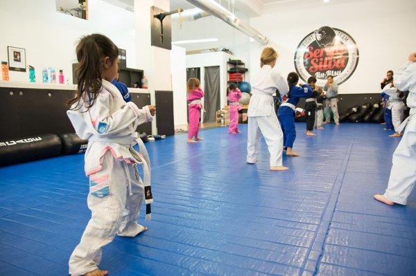 Alameda Brazilian Jiu-Jitsu for Kids in Alameda,Bay Area!