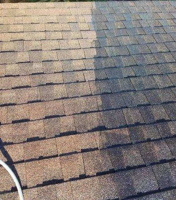 Pressure Wash Roof.