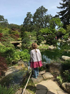 Field trip to Hakone Gardens