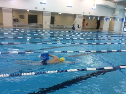 Freestyle swimming drill