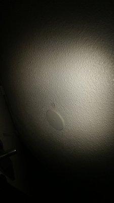 Holes all over the walls