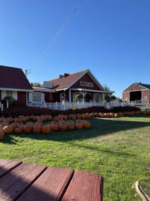 Jenny's Farmers Market