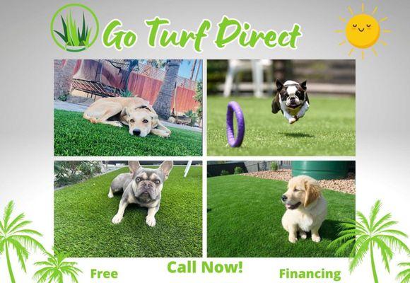 GoTurf Direct San Diego - Pet Turf