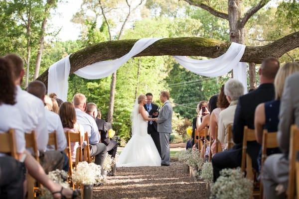 A beautiful prayer tree ceremony